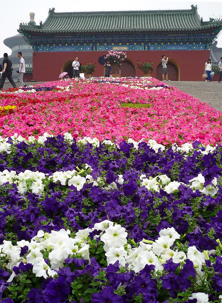 Цветник в паке Храма Неба. Фото: Омелько М.М.