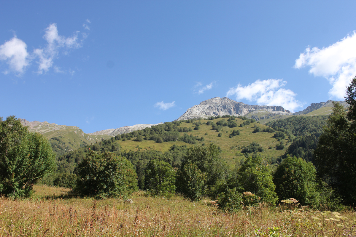 Гора Семенов-Баши (3608 м). Фото: Недолужко А.В.