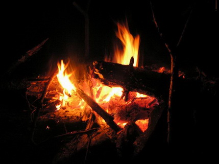 Костёр. Творец уюта. Фото: Недолужко А.В.