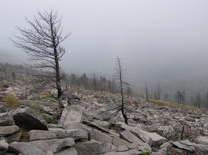 Голец. Гора постепенно окутывается туманом. Фото: Недолужко А.В.
