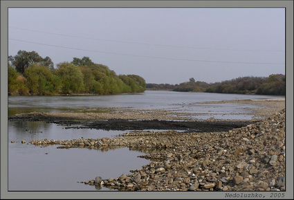 Река Раздольная (Суйфун). Фото: Недолужко А.В. Река Раздольная (Суйфун). Фото: Недолужко А.В.