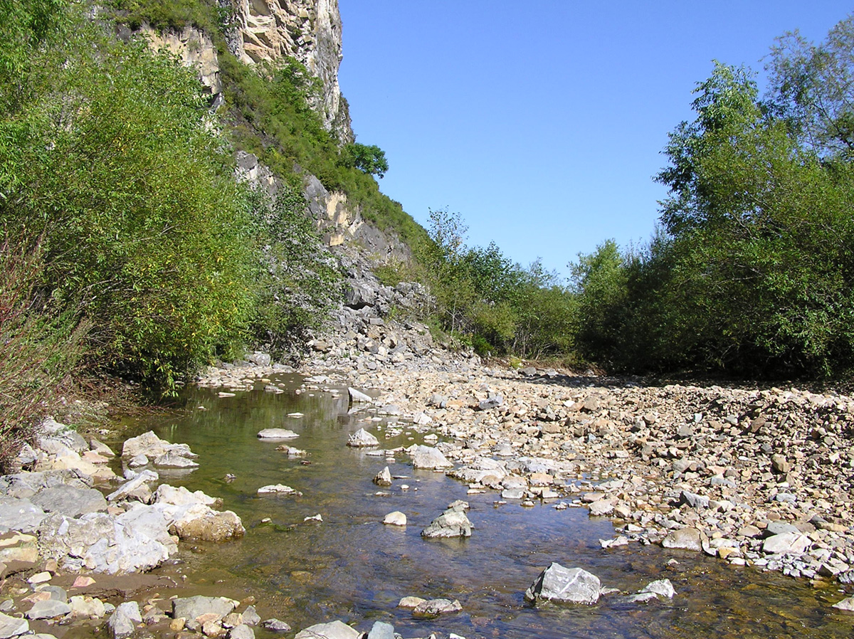 Пробираясь по руслу ручья в районе поселка Барабаш в Хасанском районе Приморского края, я вспугнул небольшую змейку, гревшуюся на галечнике. Фото: Недолужко А.В. Пробираясь по руслу ручья в районе поселка Барабаш в Хасанском районе Приморского края, я вспугнул небольшую змейку, гревшуюся на галечнике. Фото: Недолужко А.В.