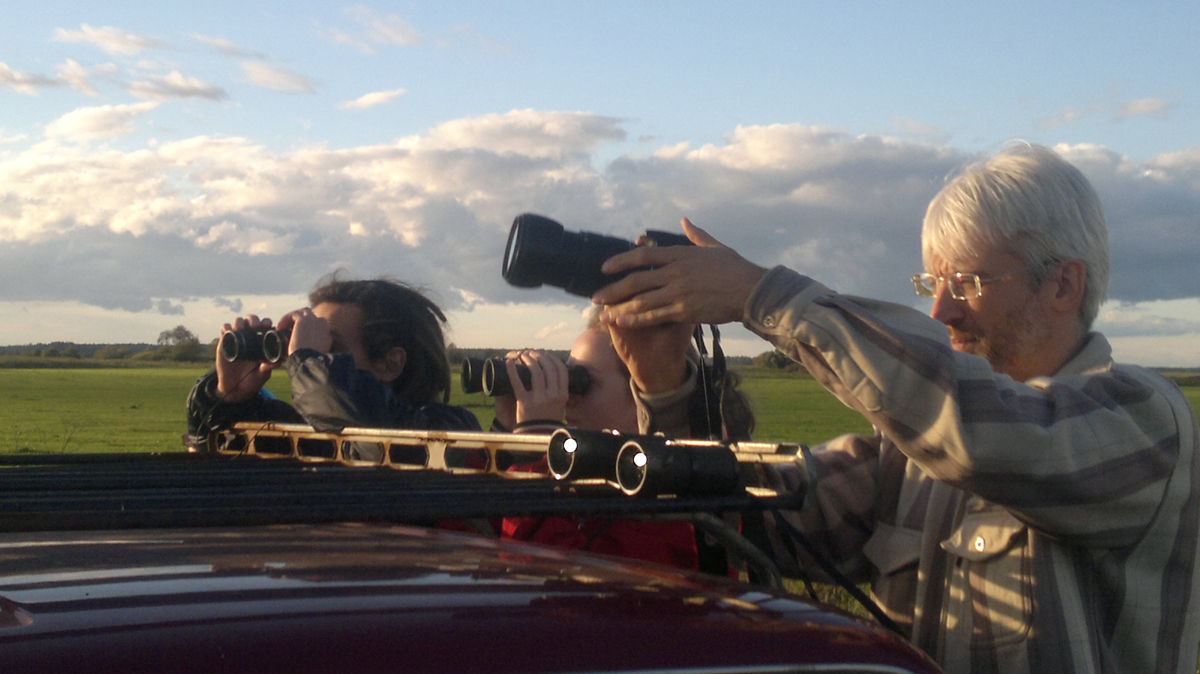 В ожидании журавлей. Фото: Недолужко А.В. В ожидании журавлей. Фото: Недолужко А.В.