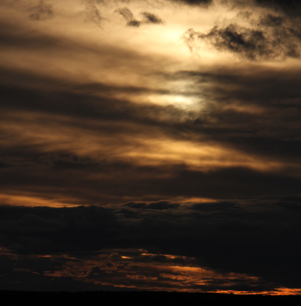 Осенний вечер в Талдомском районе. Фото: Недолужко А.В. Осенний вечер в Талдомском районе. Фото: Недолужко А.В.