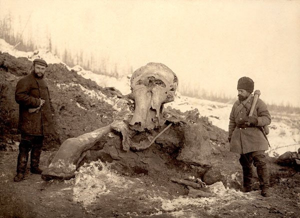 Архивное фото. Труп березовского мамонта на месте раскопок. Палеонтолог Евгений Пфиценмайер и неизвестный участник экспедиции. Фото: www.nature.com Архивное фото. Труп березовского мамонта на месте раскопок. Палеонтолог Евгений Пфиценмайер и неизвестный участник экспедиции. Фото: www.nature.com
