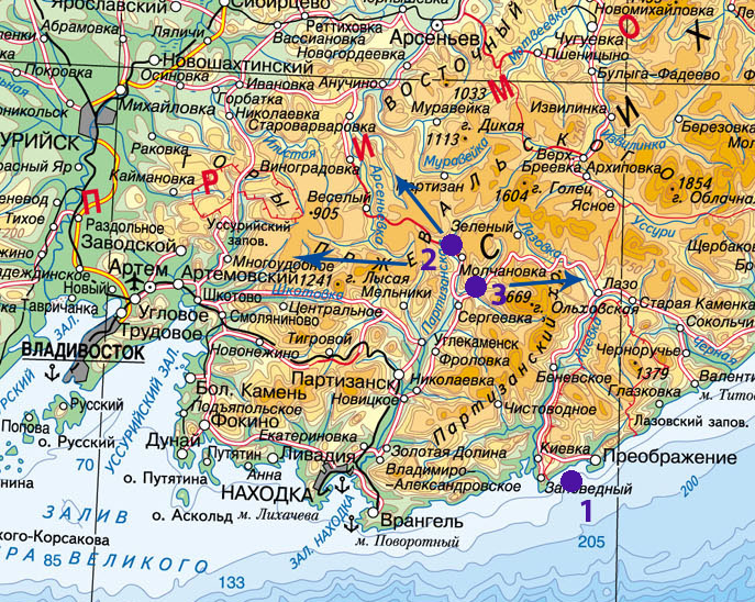Схема мест выпуска и дальнейшего распространения енотов (построена на основе описаний). 1 – о. Петрова; 2 – верховья р. Партизанская, 3 – р. Сергеевка
