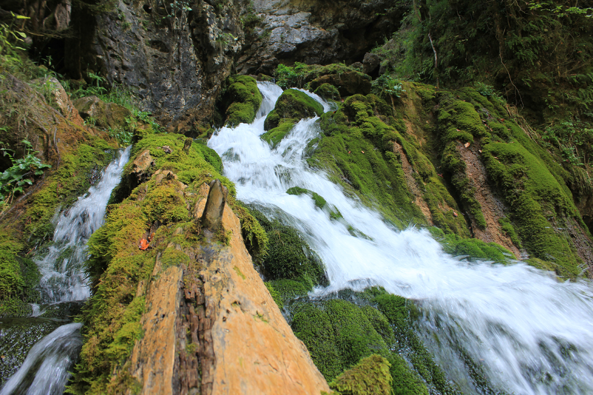 Водопад Исиченко. Фото: Недолужко А.В. Водопад Исиченко. Фото: Недолужко А.В.