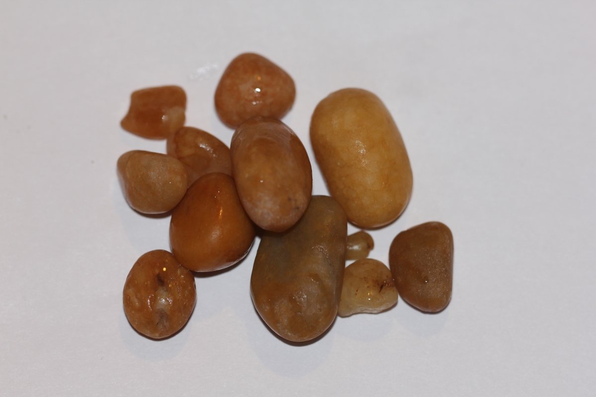 Кусочки кварца чертовски напоминали янтарь. Фото: Недолужко А.В.