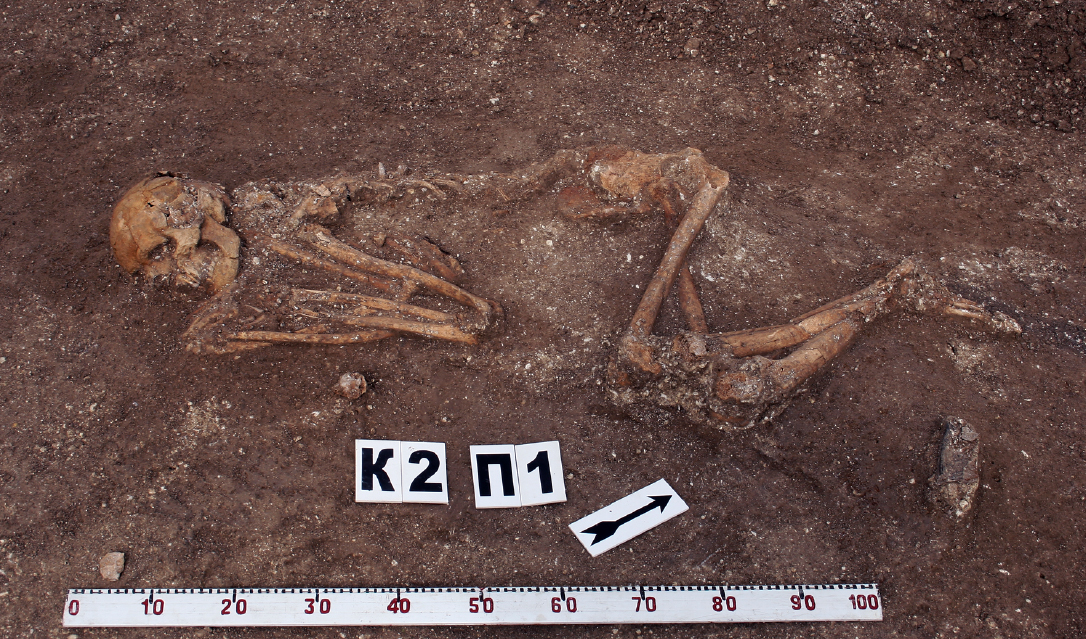 Скелетные останки человека из курганного могильника Натухаевская-3 в Краснодарском крае (майкопская культура). Фото: Колпакова А.Д.