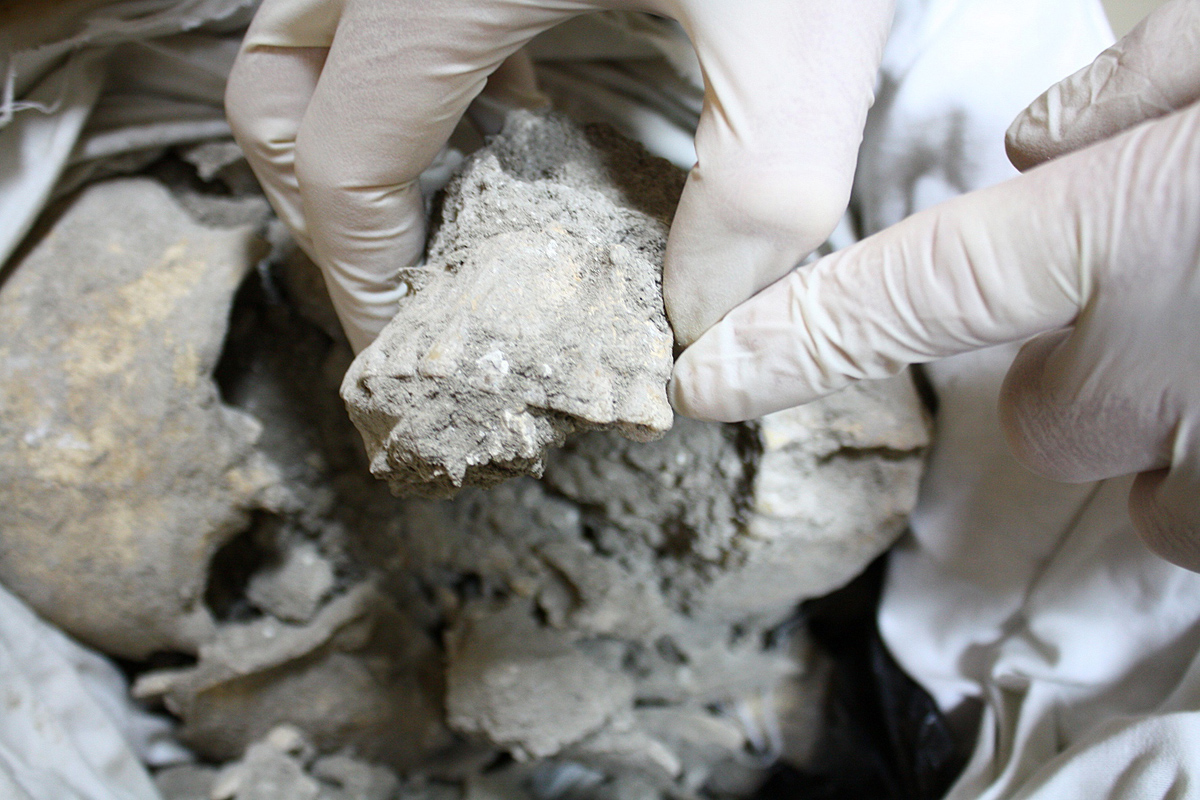 Сбор антропологического материала для геномного анализа. Фото: Колпакова А.Д.