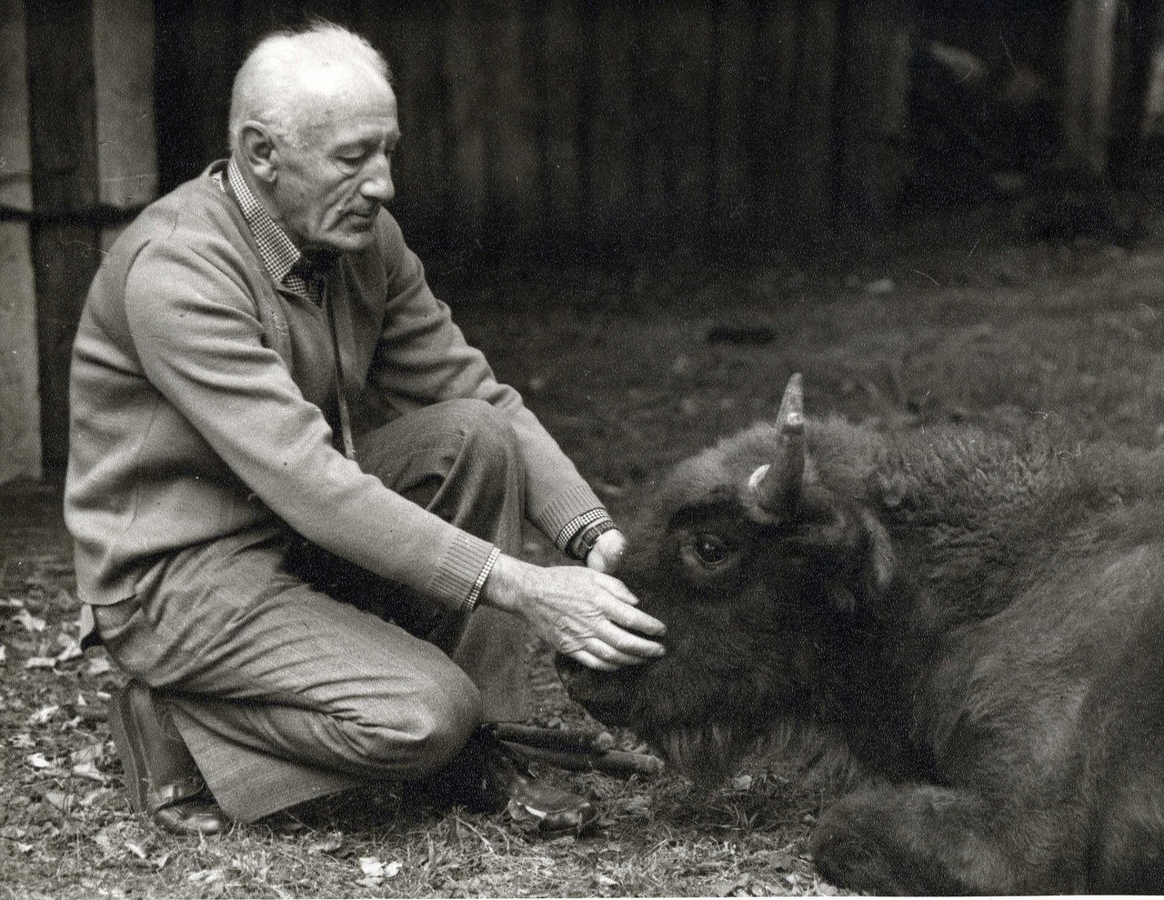 Михаил Александрович Заболоцкий со своим питомцем. Архивное фото: http://pt-zapovednik.ru