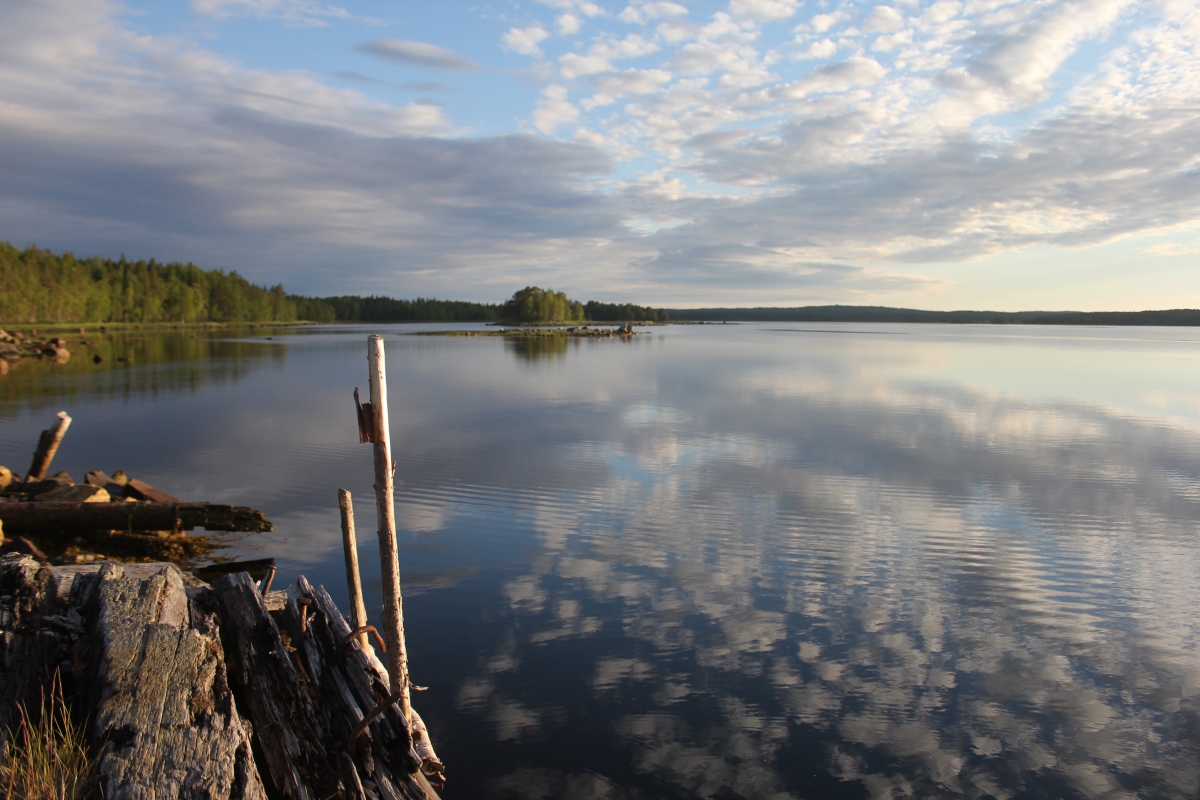 Белое море - место отлова трёхиглой колюшки для экспериментов. Фото: Недолужко А.В.