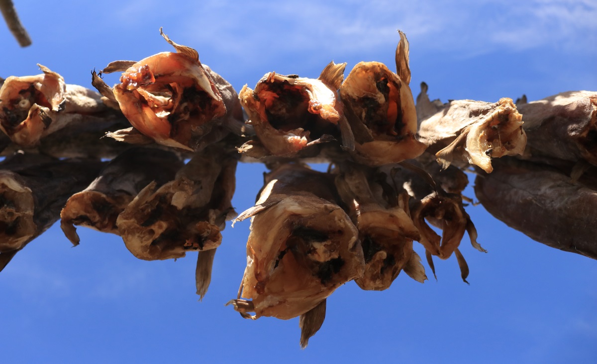 Очень сложно тягаться с профессионалами на рынке изображений – зачастую их работы лучше или более массово представлены. Норвежская сушеная треска. Фото: НЕдолужко А.В.