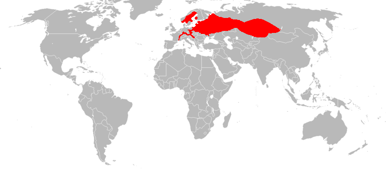 Ареал речного бобра. Источник:  http://commons.wikimedia.org