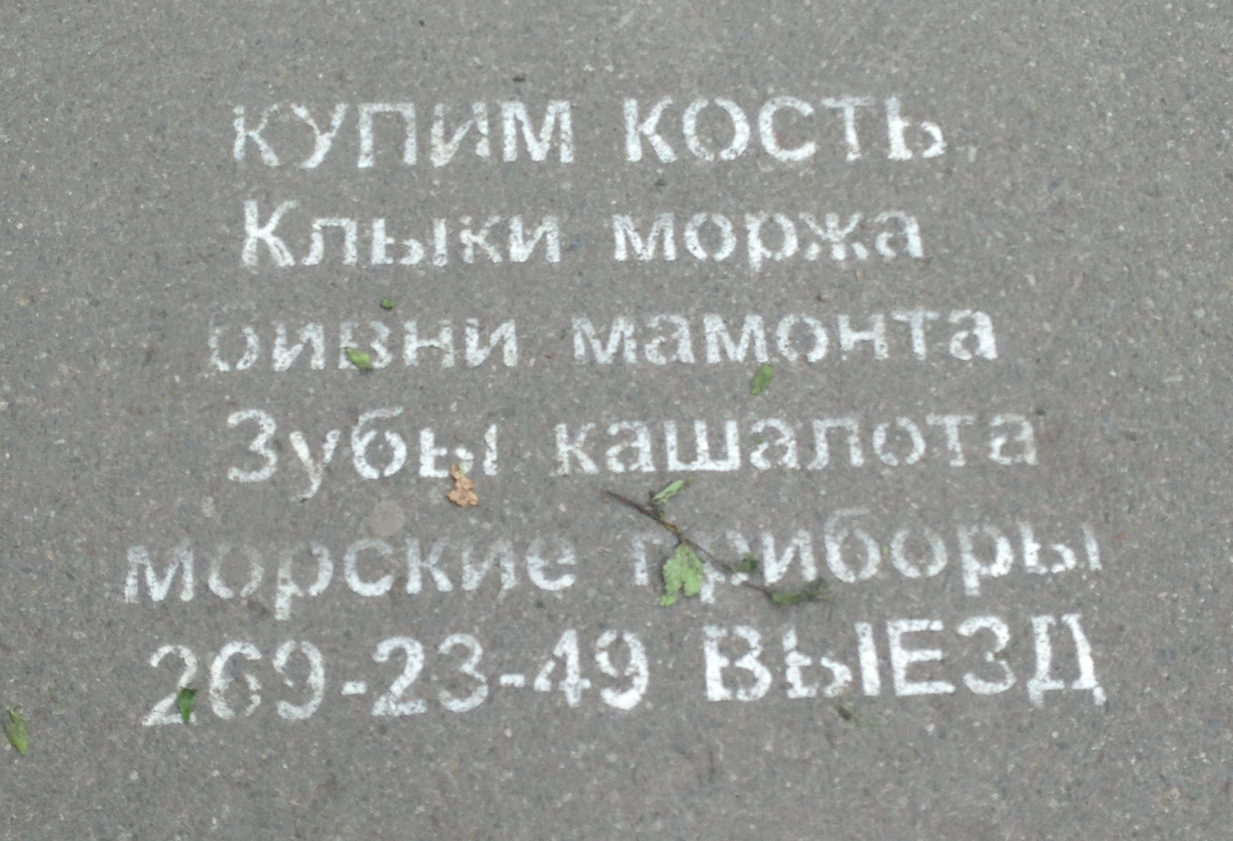 Надпись на асфальте в г. Владивостоке, 2015 г. Фото предоставлено автором